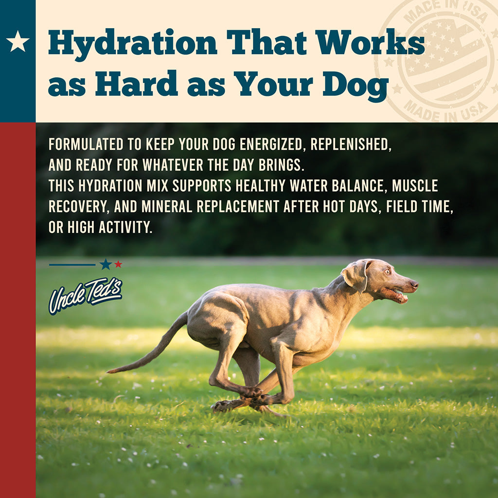 Uncle Ted's Electrolyte Hydration Aid
