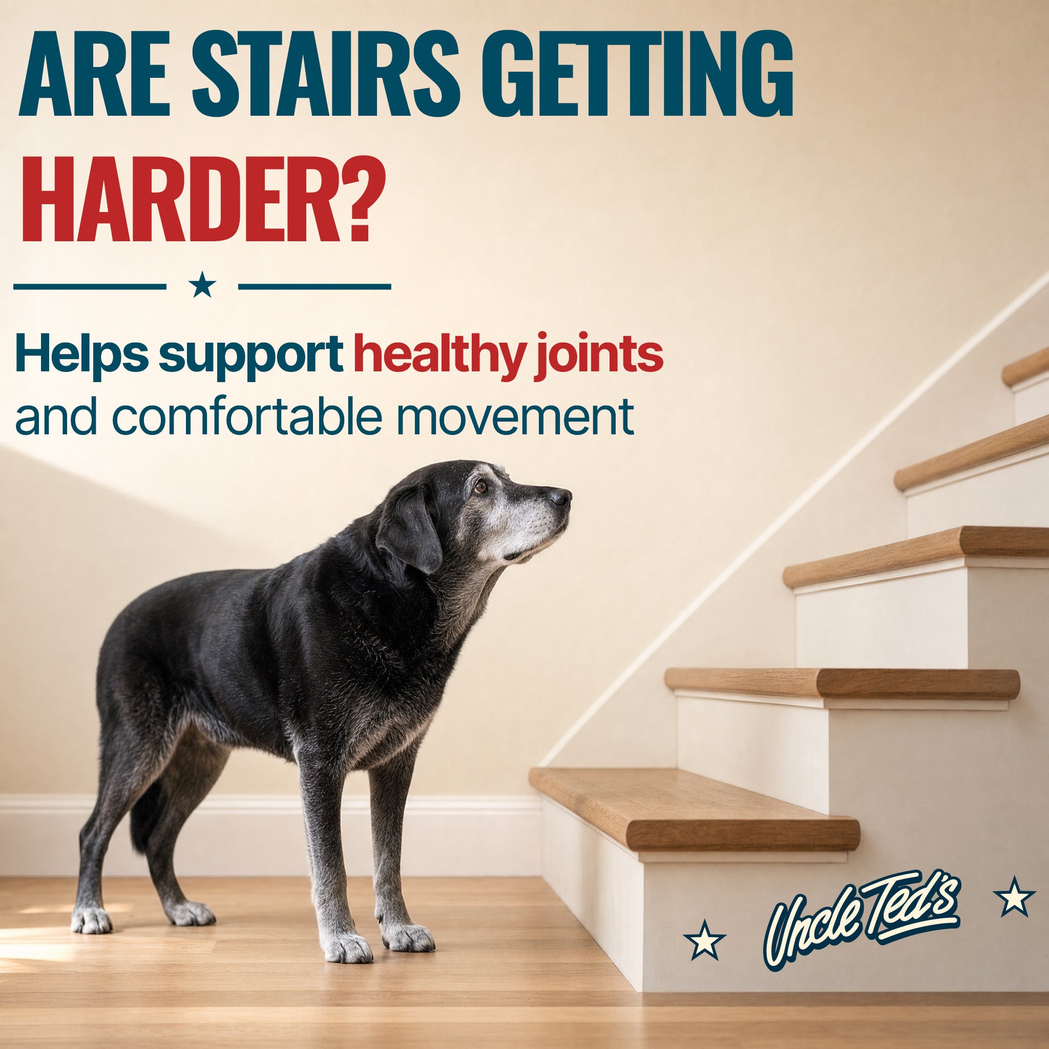 Uncle Ted's Joint Mobility Extract